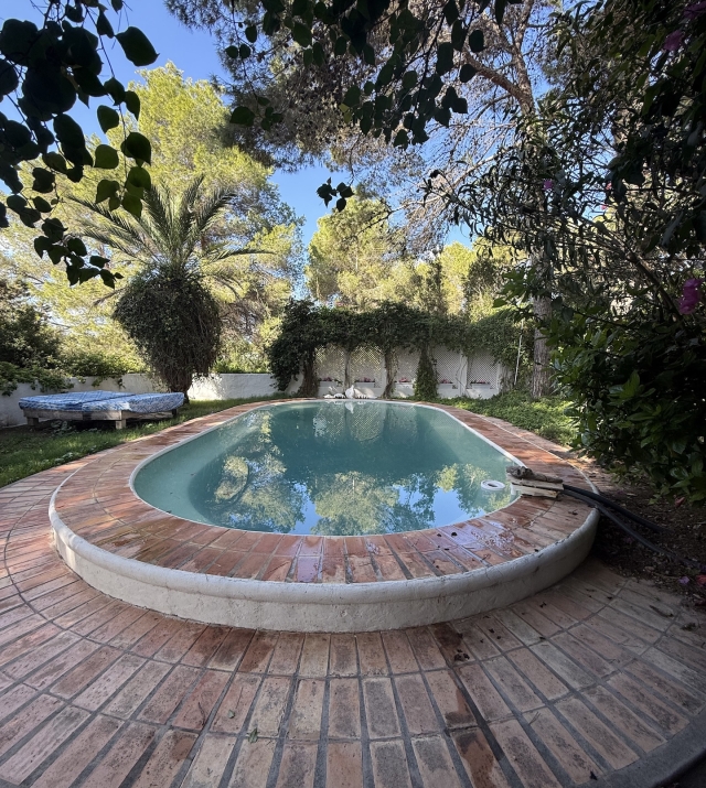 Resa Estates for sale te koop project Cala Tarida Ibiza pool.jpeg